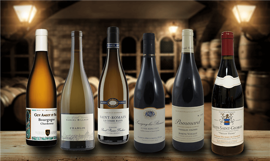 Burgundy Christmas Picks Half Dozen 