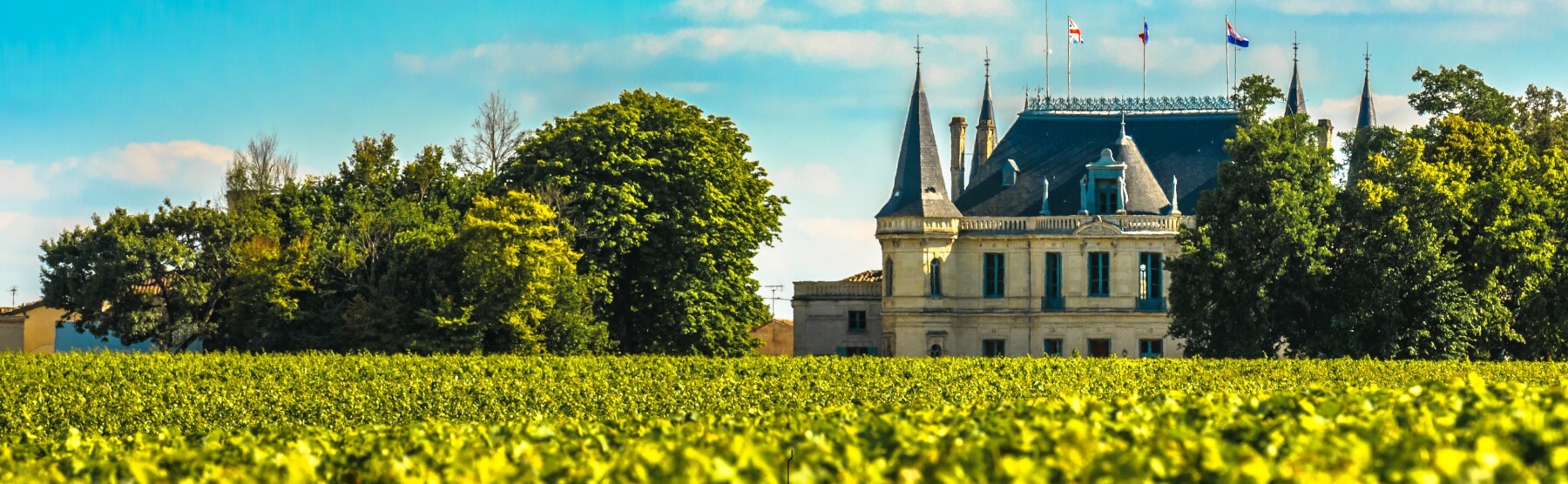 Bordeaux 2022 En Primeur