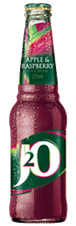 Britvic J20 Apple & Raspberry 24 x 275ml