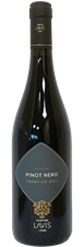Pinot Nero I Classici Cantina Lavis