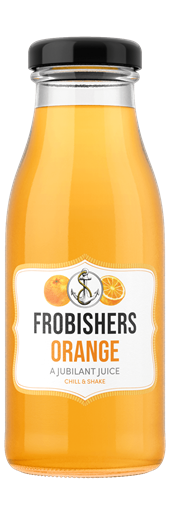Frobishers Orange 24 x 250ml (mobile)