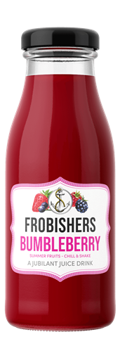 Frobishers Bumbleberry 24 x 250ml (mobile)