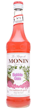 Monin Bubblegum Syrup