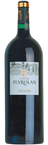 Château Peyrolan Côtes du Bourg 2003 Magnum (mobile)