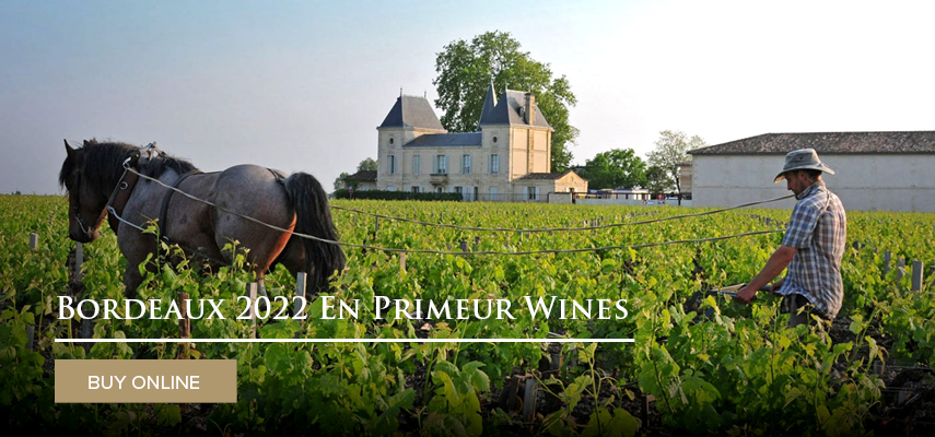 Bordeaux 2022 En Primeur