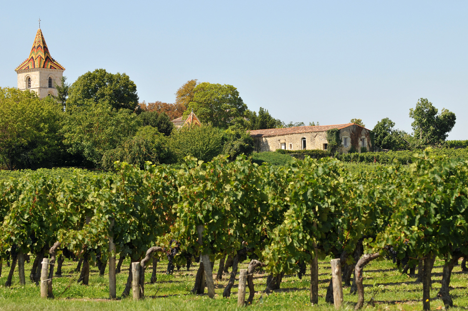 Vintages Through the Years: Bordeaux