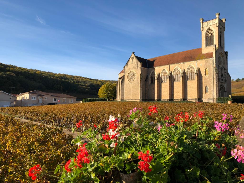 Burgundy 2019: An Overview