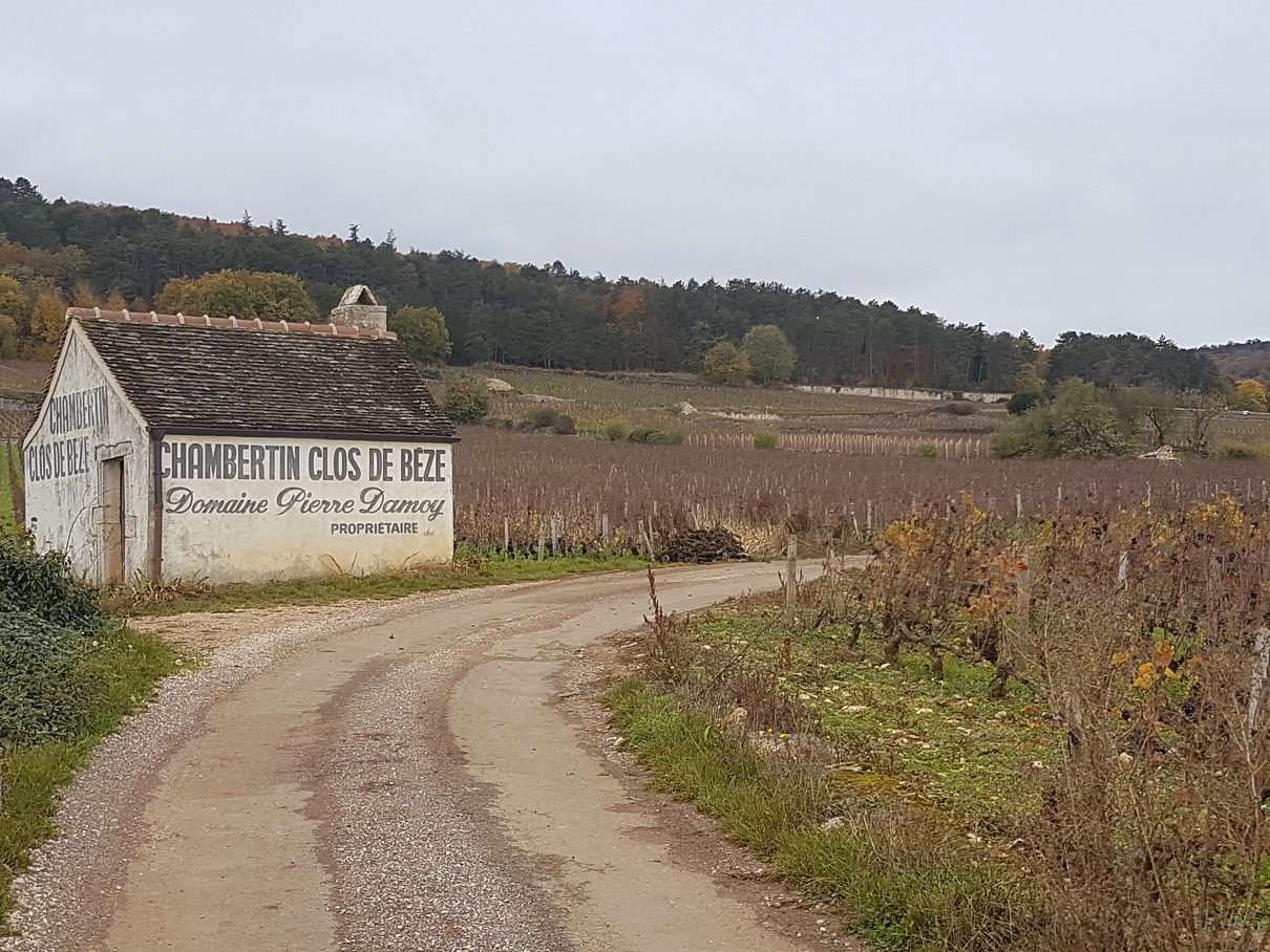 Burgundy 2016 Barrel Sampling - "Where Eagles Dare"