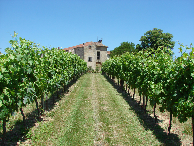 Why Buy Bordeaux En Primeur?