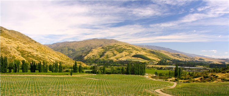 Exploring the wine regions of New Zealand: Central Otago