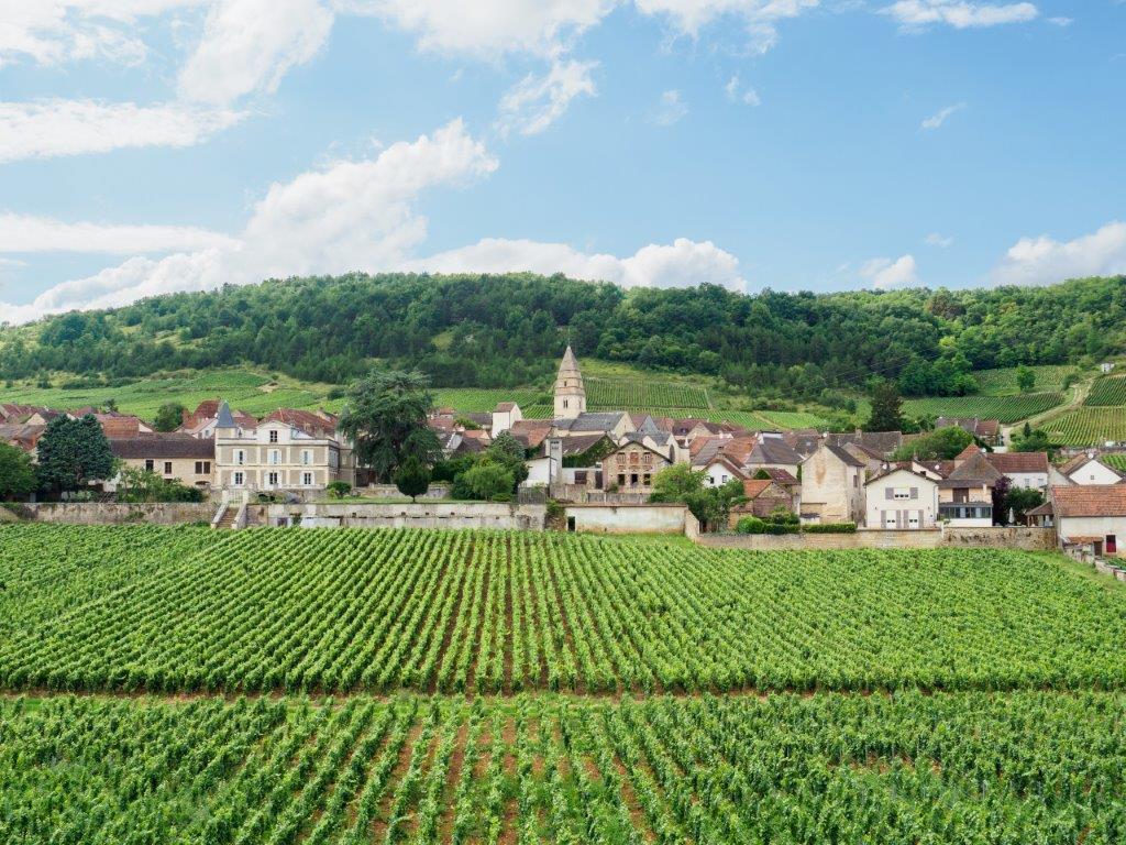 Burgundy 2017 En Primeur Now Released!