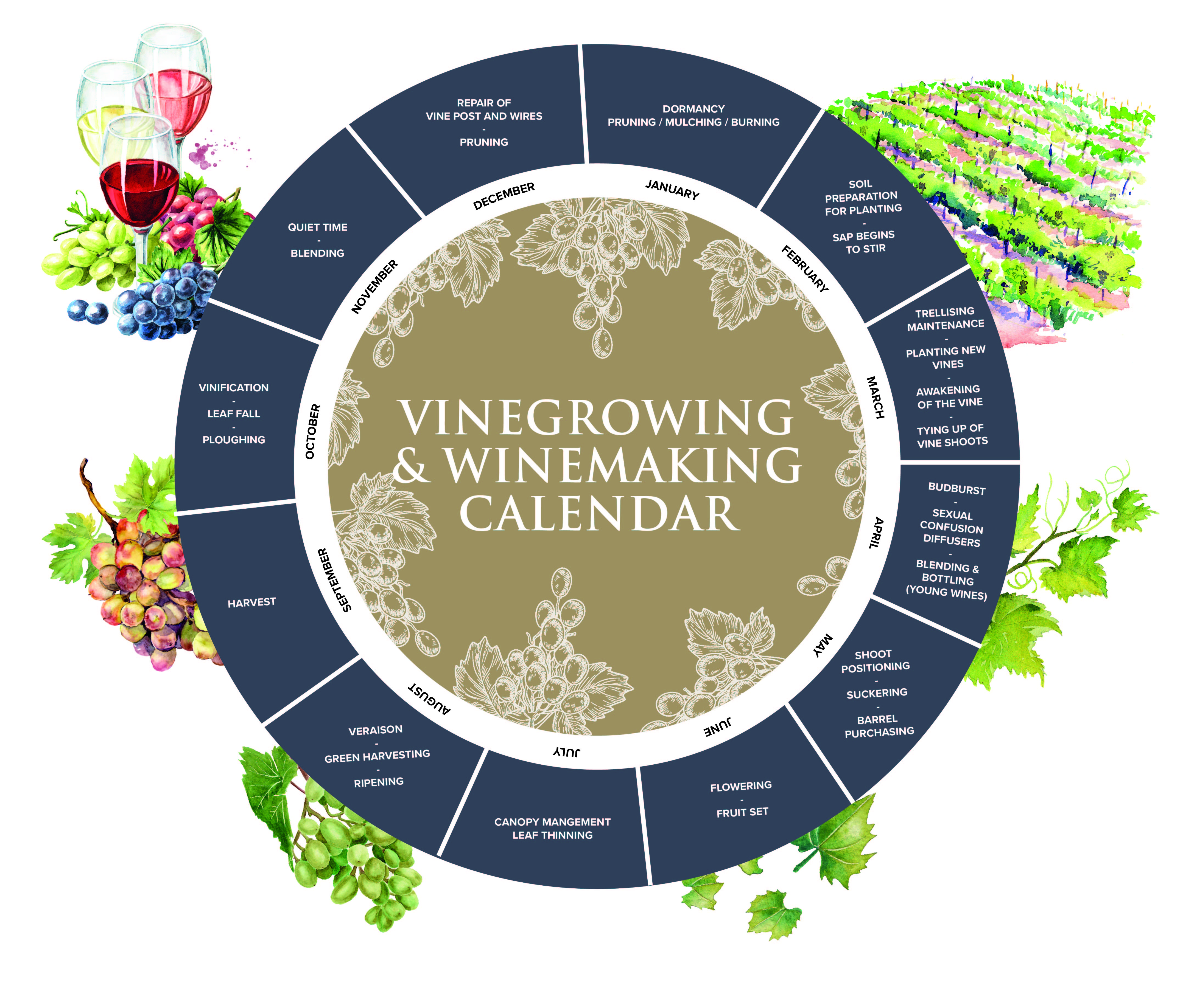 Vinegrowing Calendars