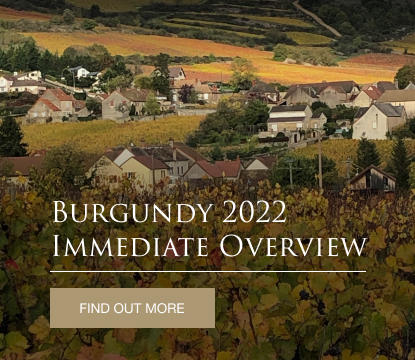 Burgundy 2022 En Primeur