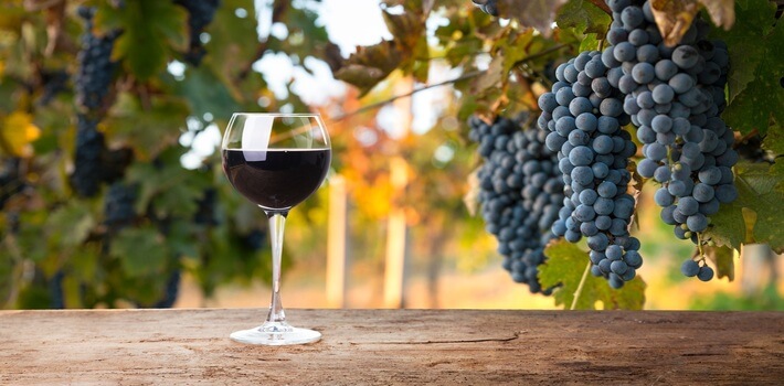 Celebrating World Malbec Day