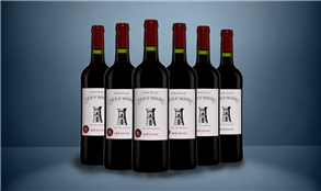 The Critic Wine Club - Red Case