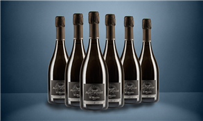 The Critic Wine Club - Sparkling Case