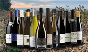 Loire and Rhône Collection Case