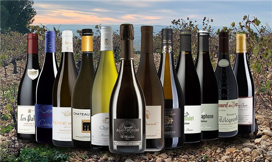 Loire and Rhône Collection Case