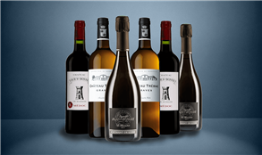 The Critic Wine Club - Mixed Case 2