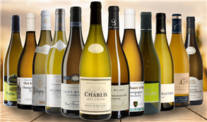 White Burgundy Collection Case