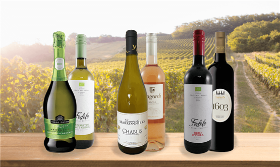 Organic Wines Half Dozen
