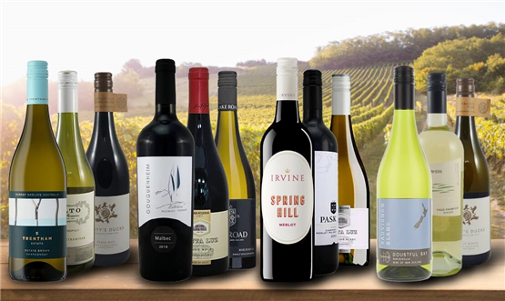 Southern Hemisphere Explorer Case