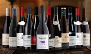 Red Burgundy Collection Case