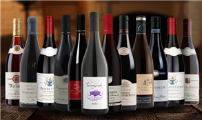 Red Burgundy Collection Case