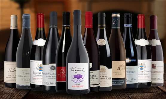 Red Burgundy Collection Case