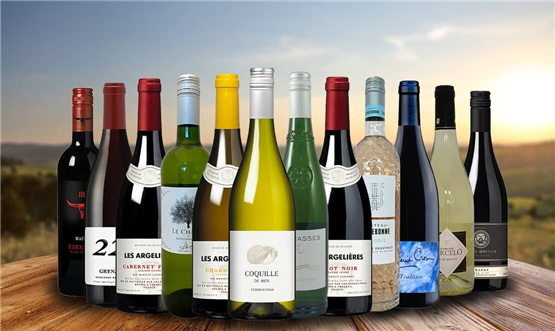 Southern France Explorer Case