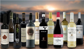 Spanish Explorer Case