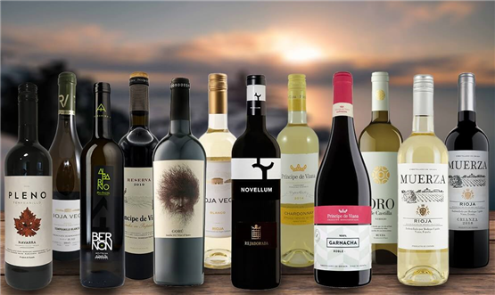 Spanish Explorer Case