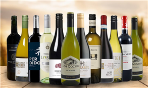 Vegan Wines Mixed Dozen