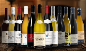 Mixed Burgundy Collection Case