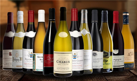 Mixed Burgundy Collection Case