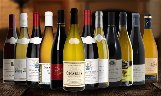 Mixed Burgundy Collection Case