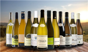 White Burgundy Collection Case