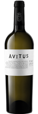 Avitus Pinot Grigio, Villa Sandi