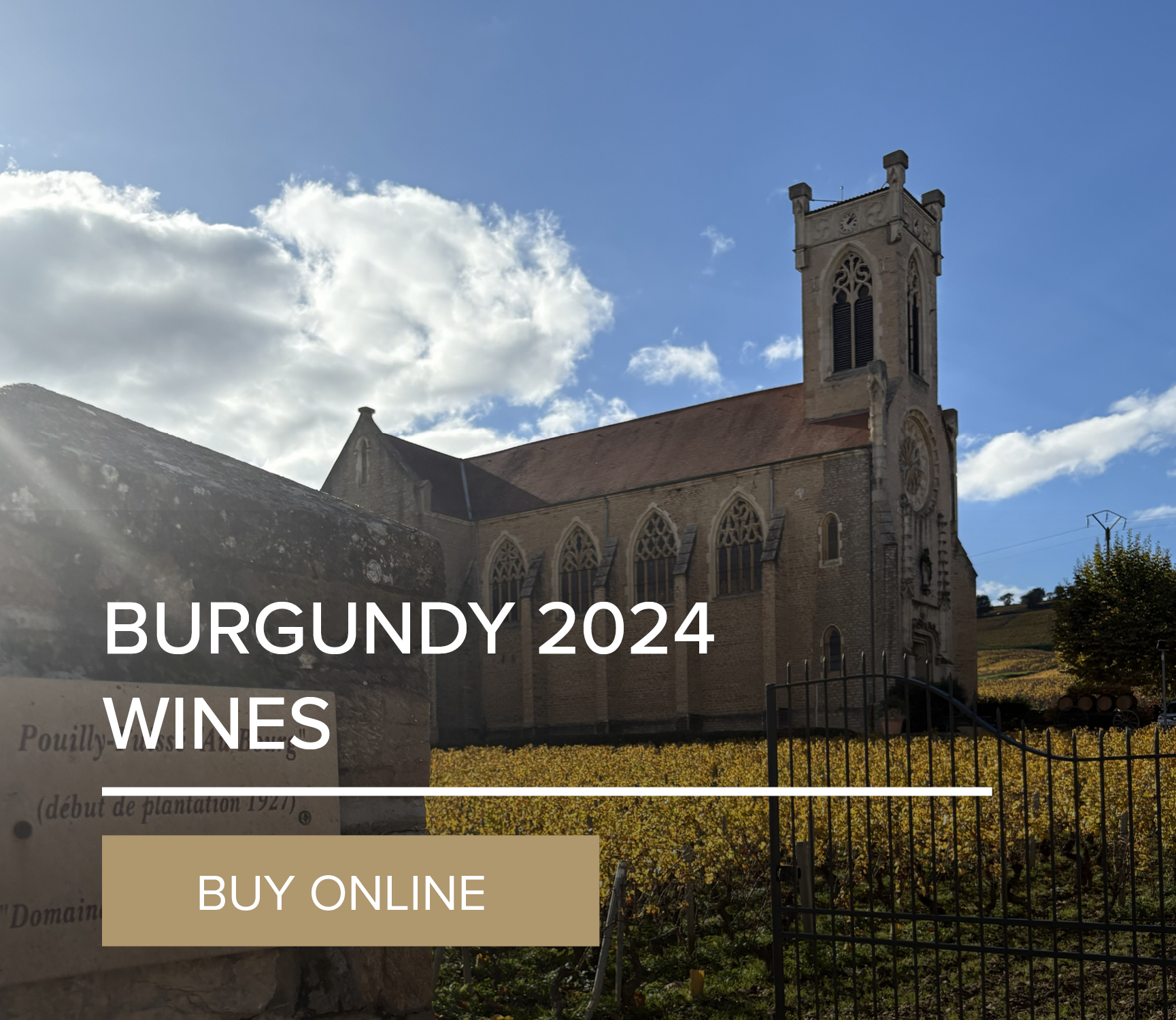 Burgundy 2024 En Primeur