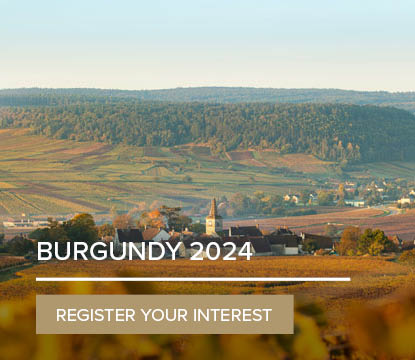 Burgundy 2024 En Primeur