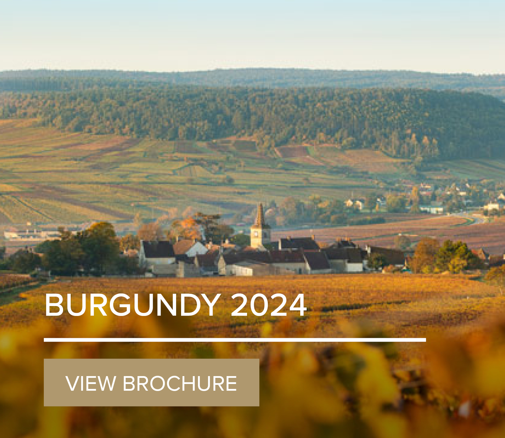 Burgundy 2024 En Primeur