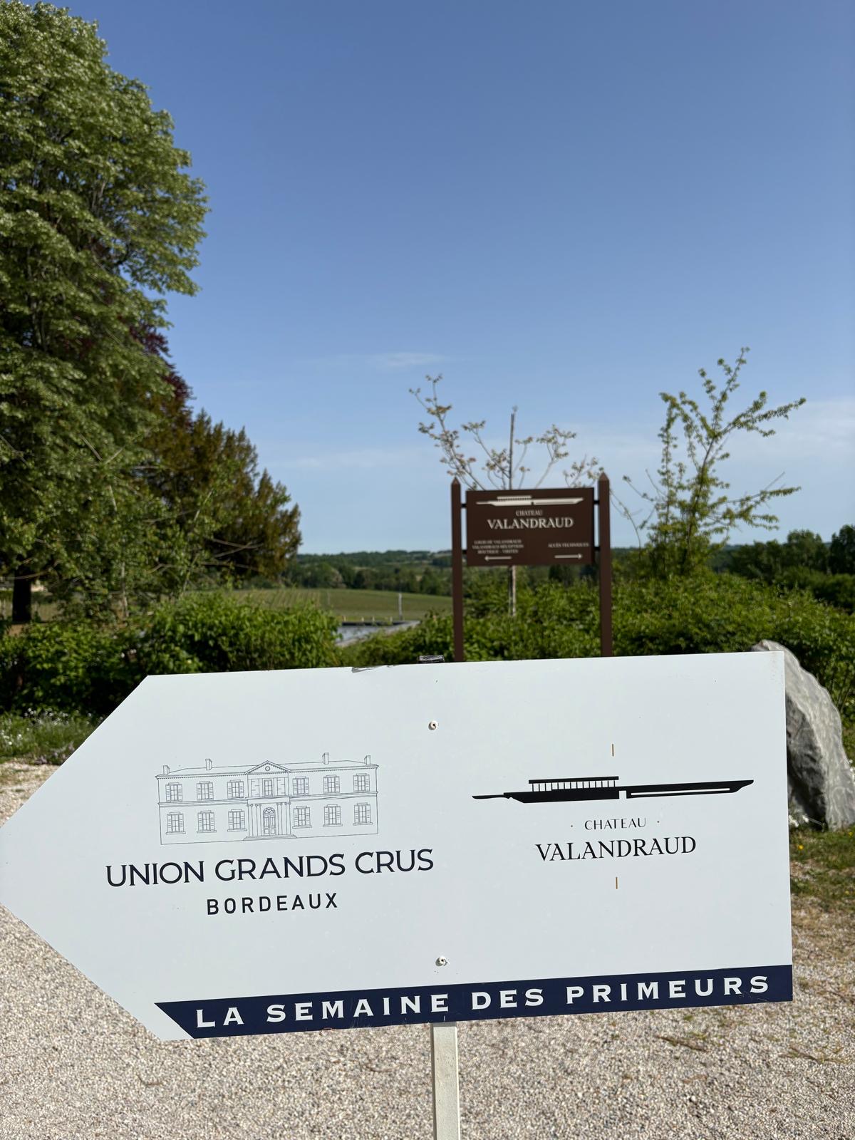 Bordeaux 2025: Small but Perfectly Formed